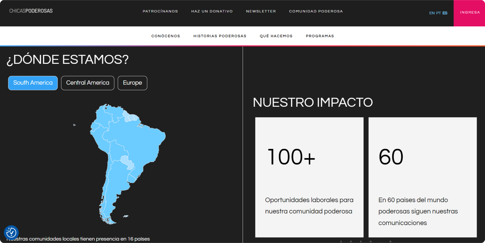 chicas website design view