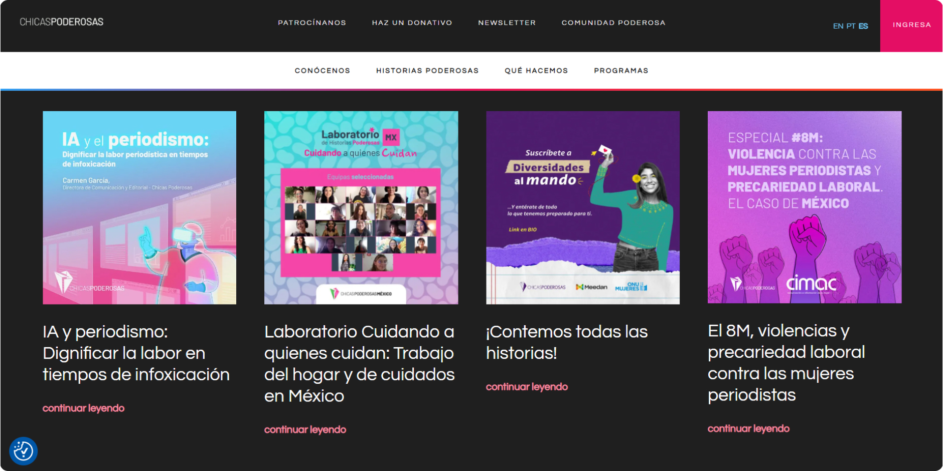 chicas website design view