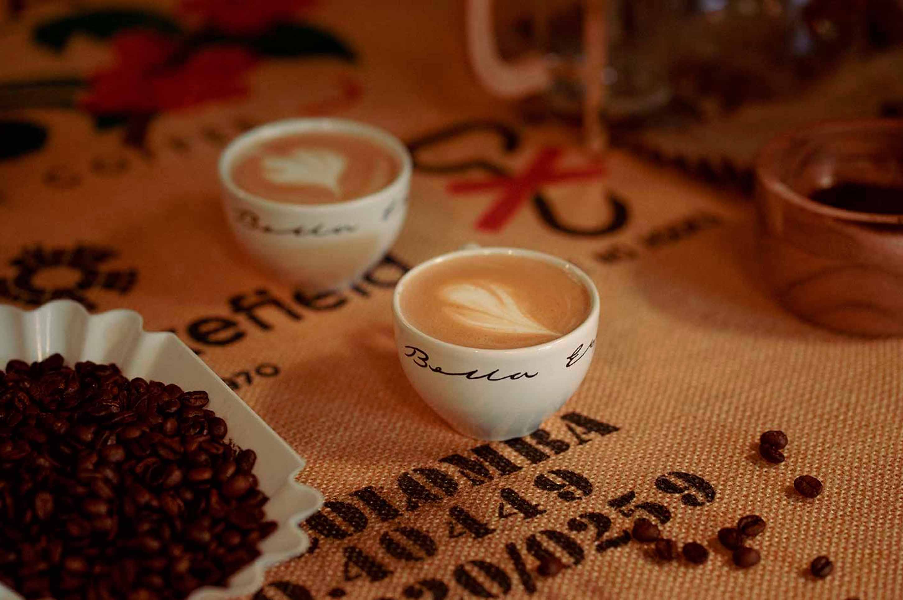 photograph of coffee workshop